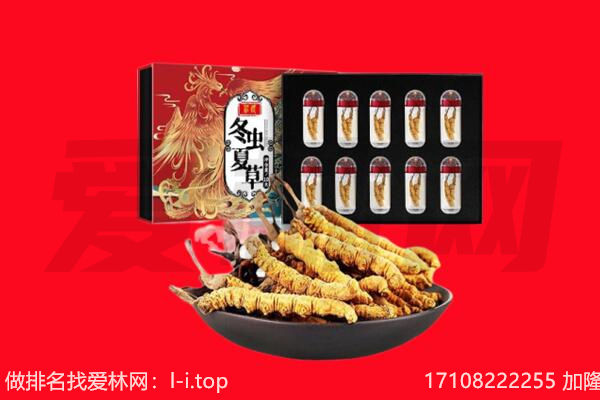 金口河区回收虫草.jpg